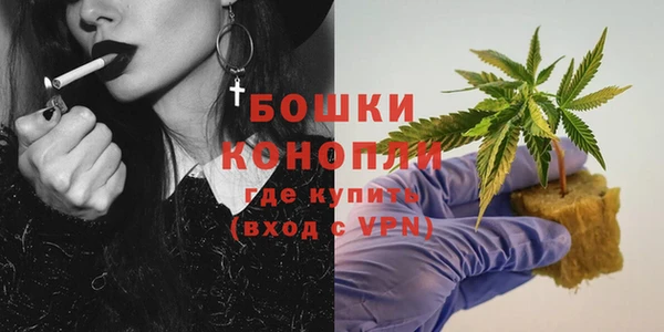дживик Верея